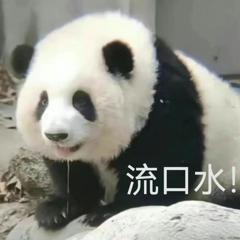 曾沛慈直播
