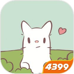 王安宇见面会